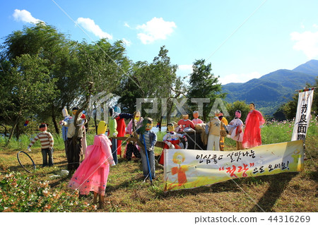 Power, rural, rural, agriculture, rice field, fields, landscape, 44316269