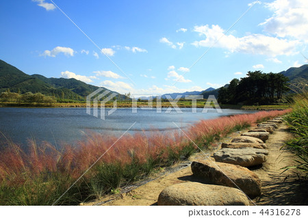 Power, rural, rural, agriculture, rice field, fields, landscape, 44316278