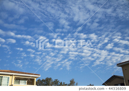 autumn sky autumn sky 44316809