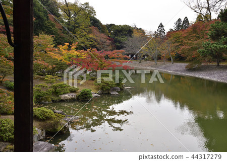 Sendong Gosho South pond Autumn leaves Sendong Gosho South pond Autumn leaves 44317279