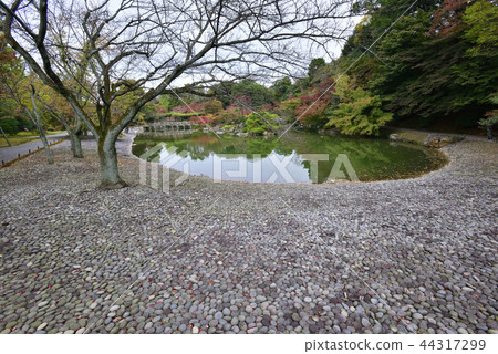 Sendong Gosho南池塘秋葉 Sendong Gosho南池塘秋葉 44317299