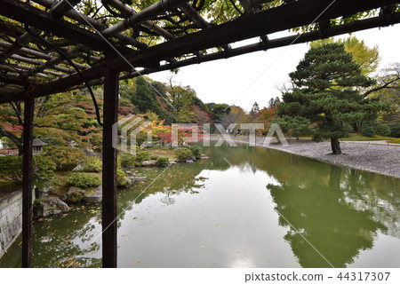 Sendong Gosho South pond Autumn leaves Sendong Gosho South pond Autumn leaves 44317307