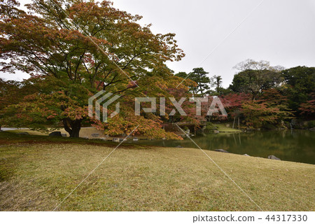 Sendong Gosho南池塘秋葉 44317330