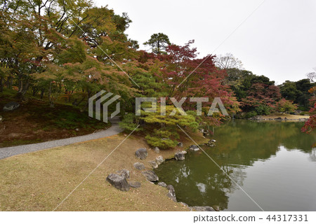 Sendong Gosho South pond Autumn leaves 44317331