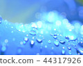 A drop 44317926