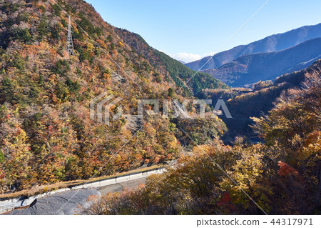 Shizuoka Prefecture A view from the Hatobai Daiichi dam in autumn 44317971