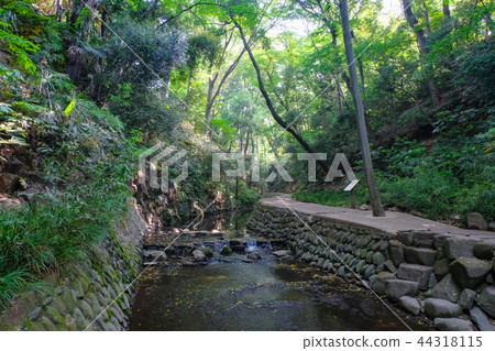 Todoroki Valley Todoroki Valley 44318115