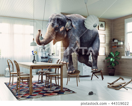 the elephant and the mouse 44319022