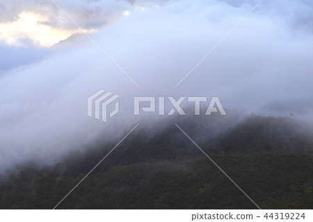 [Niigata Prefecture] Scenery seen from Edaori Pass (Route 352) (Takiun / Unkai) 44319224