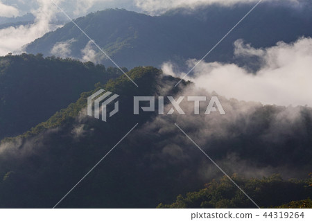 [Niigata Prefecture] Scenery seen from Edaori Pass (Route 352) (Takiun / Unkai) 44319264