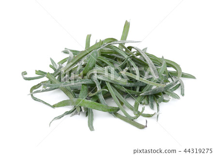 pile of curry plant leaf isolated on white pile of curry plant leaf isolated on white 44319275