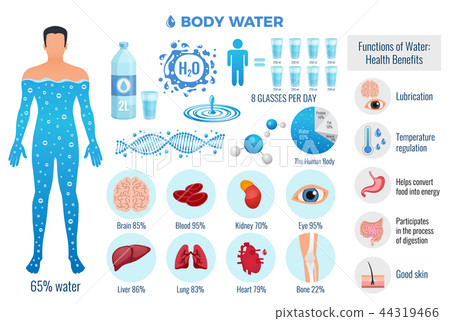 Body And Water Set 44319466