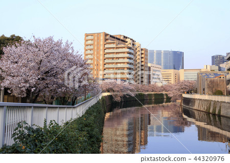 Meguro River Meguro River 44320976