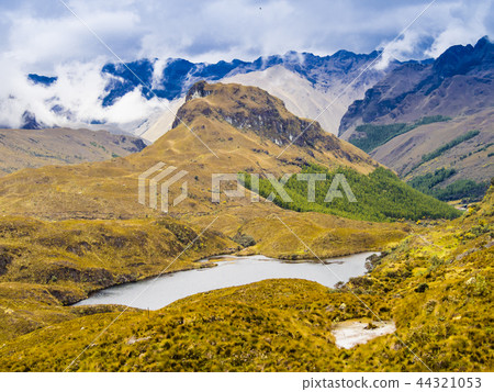 Landscape in Cajas National Park, Ecuador Landscape in Cajas National Park, Ecuador 44321053