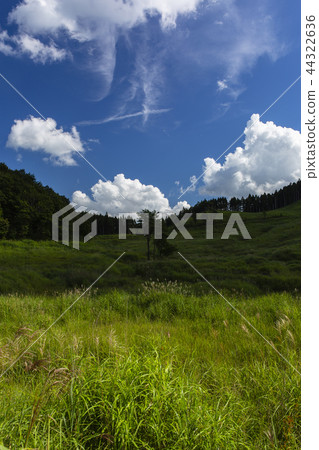 Toho plateau / Hyogo Prefecture 44322636