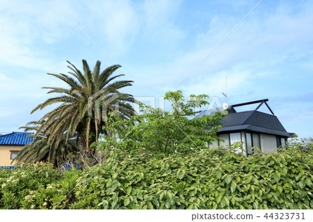 Owada Bay Owada Bay 44323731