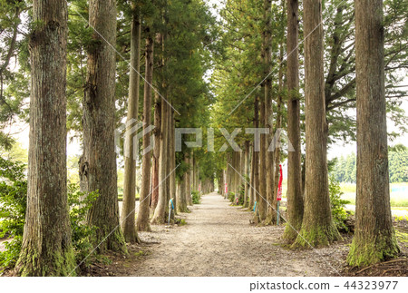 Eyes eye mountain Tateyama temple Toyama sightseeing Tour location location 44323977