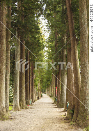 Eyes eye mountain Tateyama temple Toyama sightseeing Tour location location 44323978