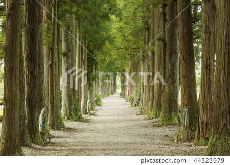 Eyes eye mountain Tateyama temple Toyama sightseeing Tour location location Eyes eye mountain Tateyama temple Toyama sightseeing Tour location location 44323979