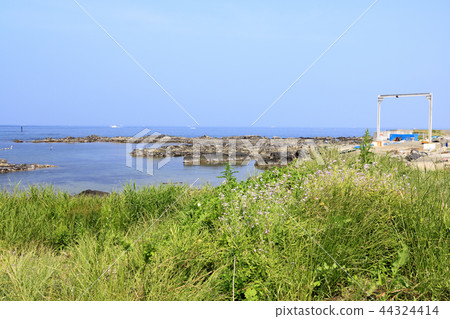 小和田灣 小和田灣 44324414