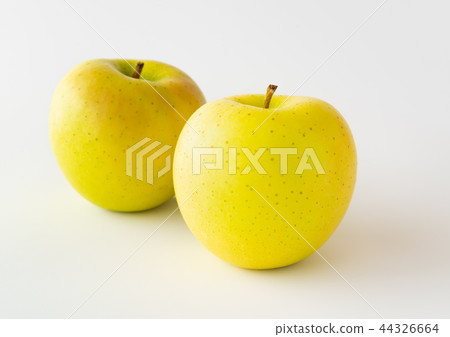 Yellow apple Ring Iwate No. 1 Yellow apple Ring Iwate No. 1 44326664