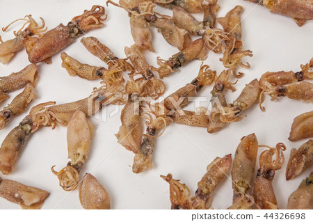Dried mini squids on a white background 44326698