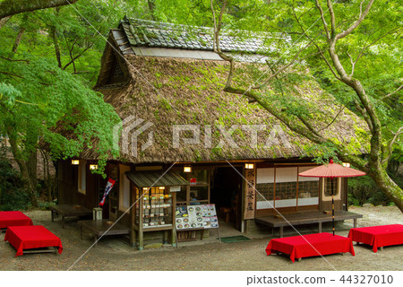 Mizutani Chaya 44327010