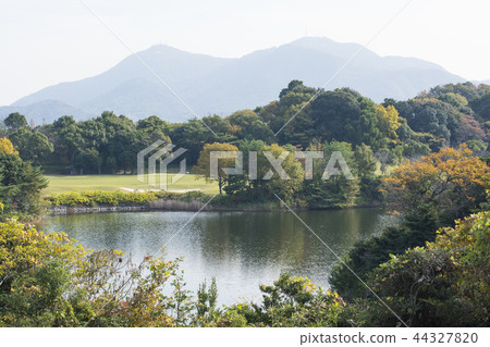 福岡 福岡 44327820