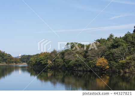 福岡 福岡 44327821