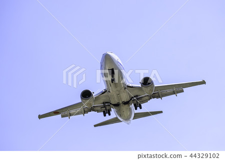 Landing airplane Boeing 737-500 44329102
