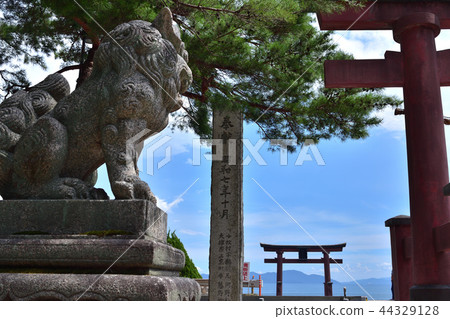 Shiba Inu和Haktor神社的Otorii湖 44329128