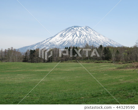 Mt. Yotei在春天 44329590