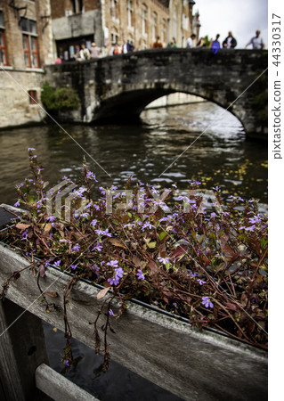 Bruges medieval canals 44330317