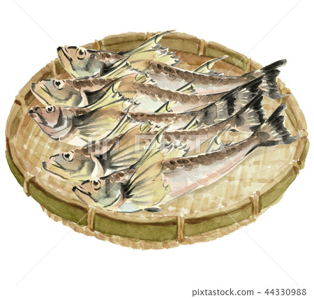 竹basket上的5條鰻魚魚材料[水彩插圖] 44330988