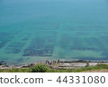 Cancale 44331080