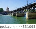 Paris of flowers 44331093