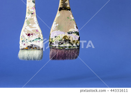 brush 44331611