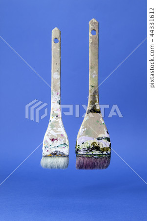 brush 44331612