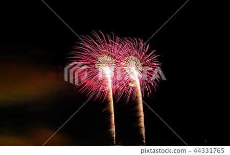 The 87th Tsuchiura National Fireworks Festival 44331765