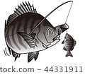 釣魚的Kuro no Ono-kun 44331911