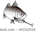 鱸魚高爾夫球 44332058