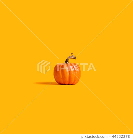 Autumn orange pumpkin 44332278