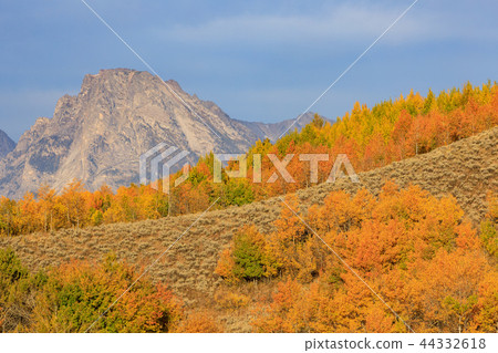 Scenic Teton Autumn Landscape Scenic Teton Autumn Landscape 44332618