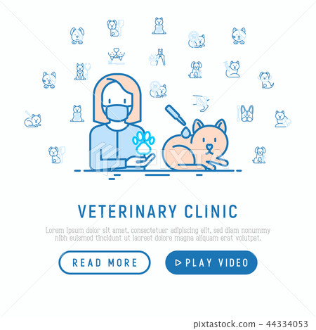 Veterinary clinic: treatment from flea for cat Veterinary clinic: treatment from flea for cat 44334053
