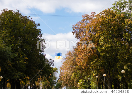 Ukrainian flag far in sky between trees 44334838