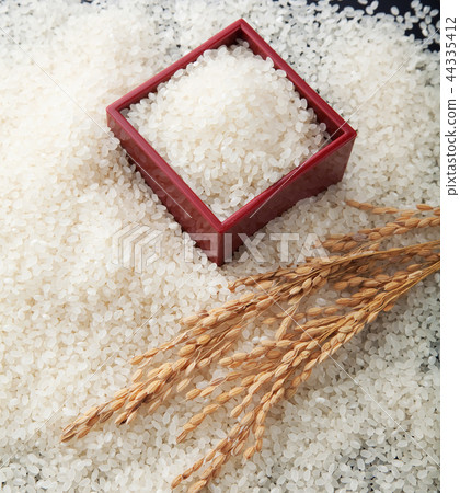 Rice Rice 44335412