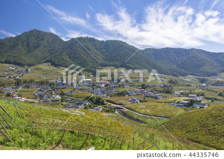 勝沼葡萄園 勝沼葡萄園 44335746