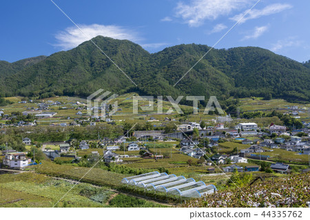 勝沼葡萄園 44335762