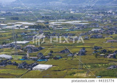 Katsunuma Vineyards 44335774