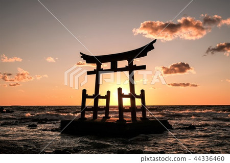 在海的紅色Torii 44336460